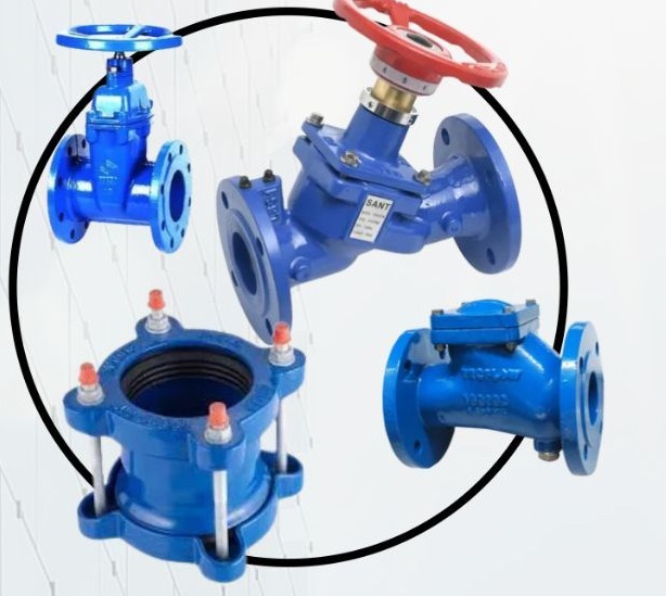 Ductile iron valves